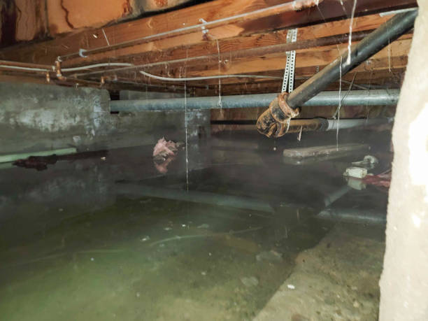 Professional Water damage restoration in Old River Winfree, TX