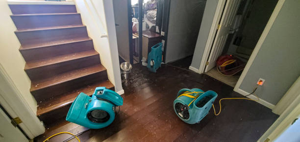 Best 24/7 water damage repair  in Old River Winfree, TX