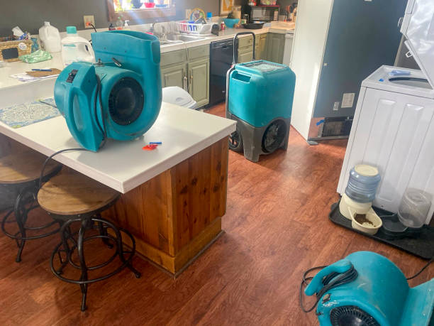Best Residential water damage restoration  in Old River Winfree, TX