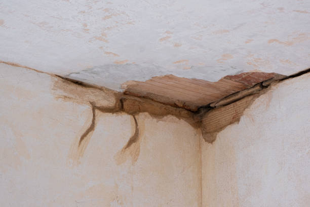 Best Fire Damage Restoration  in Old River Winfree, TX