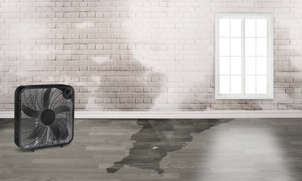 Best Basement water damage restoration  in Old River Winfree, TX