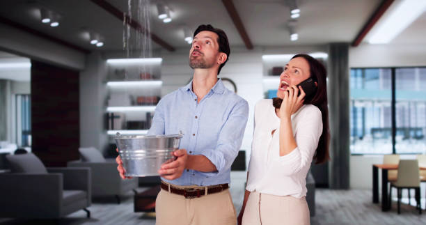 Best Flood damage cleanup  in Old River Winfree, TX