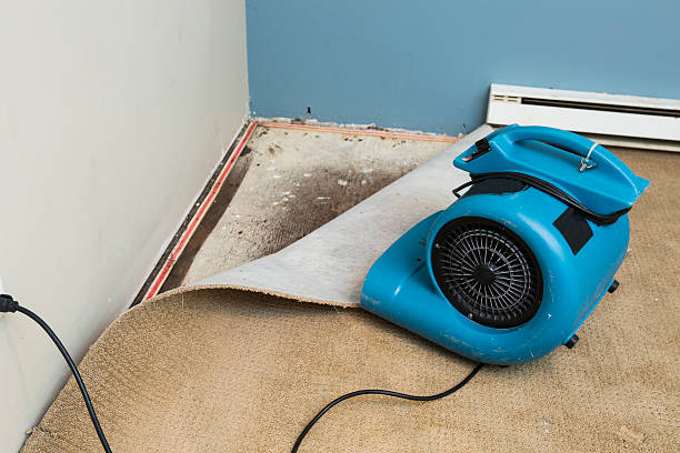 Local water damage restoration in Old River Winfree, TX
